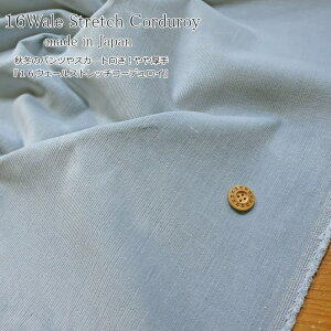 H~̃pcXJ[gIw16EF[Xgb`R[fCxmade in japannF105cm@fށFRbg95E|E^5H/~/n/LbY/l/Â/nhC