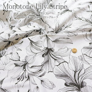 wmg[[XgCvxRbg100XgCv_Ev[tfށFRbg100@nF114cm_v/ԕ/t[/vg//n/̎q/LbY/l//EFA[/