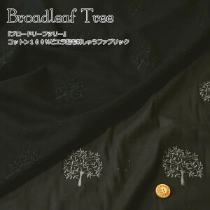 wBroadleaf Treeu[h[tc[xRbg100rGNюhイt@ubNnF110cmihJLF100cmjfށFRbg100H~//hJ/GuC_[//EFA