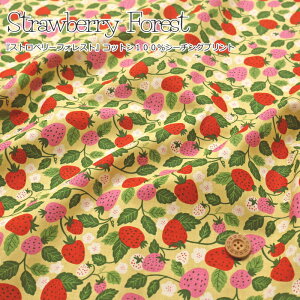wStrawberry ForestXgx[ tHXgxRbg 100 V[`O vgfށFRbg100@nF108cmC`S//̎q/LbY/l//n//w/EFA[//Ce