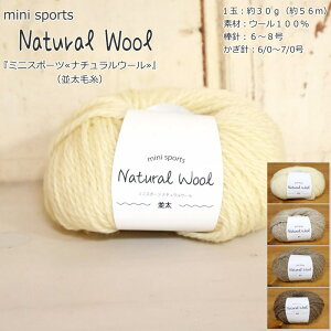 w~jX|[ci`E[xiюj1ʁF30gi56mj@fށFE[100mini sports/ю/҂ݕ/҂/nhCh/Â/Z[^[/}t[/EFA[///