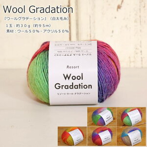 wWool GradationE[Of[Vxiюj1ʁF30gi95mjfށFE[50EAN50c/][g/i/EFA[/}t[/҂ݕ/݂/҂/