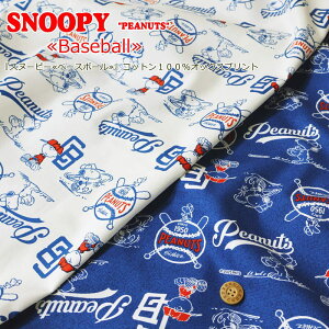 wXk[s[x[X{[xRbg100IbNXvgfށFRbg100@nF110cmpps/PEANUTS/LN^[/̎q/j̎q/LbY//nhCh//