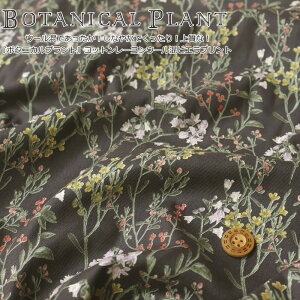 E[łIȂ₩łI㎿ȁIw{^jJvgxRbg[E[rGvgfށFRbg57[35E[8nF102cmH~/ԕ/