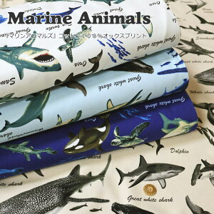 wMarine Animals}Aj}YxRbg100IbNXvgfށFRbg100@nF110cmC̐//j̎q/LbY/l//w///EFA[/CeA/nh