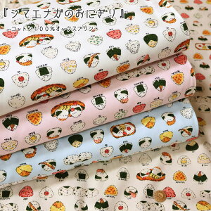 wV}GiK̂ɂxRbg100IbNXvgfށFRbg100@nF110cmV}GiK/ނ/̎q/LbY/l//n//w//obO/EFA[//Ce