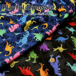 wPlayful DinosaurvCt_Ci\[xRbg100IbNXvgfށFRbg100@nF110cm/j̎q/LbY/q///w/EFA[//CeA/nhCh