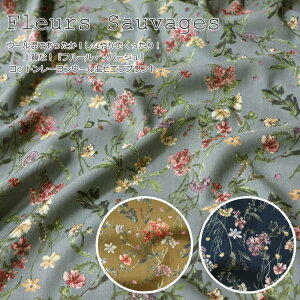 E[łIȂ₩łI㎿ȁIwt[E\o[WxRbg[E[rGvgfށFRbg54E[37EE[9nF108cmH~/