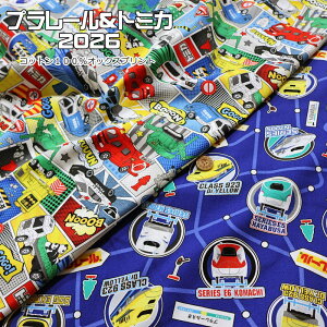 wv[g~J2026xRbg100IbNXvgfށFRbg100@nF110cmpps/蕨/͂炭/N}/V/d//n/nhCh///w/