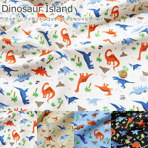 wDinosaur Island_Ci\[AChxRbg100cCvgfށFRbg100@nF110cm/j̎q/LbY///w//EFA[//CeA/nhCh/