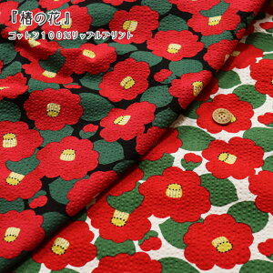 wւ̉ԁxRbg100bvvgfށFRbg100@nF108cm/ԕ/̎q/LbY/xr[/l//EFA[//r//nhCh//