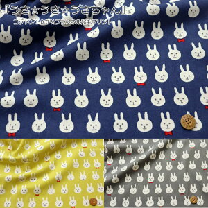 wxRbg100tlNуvgfށFRbg100@nF108cmH~//̎q/LbY/l//EFA[//CeA/nhCh//