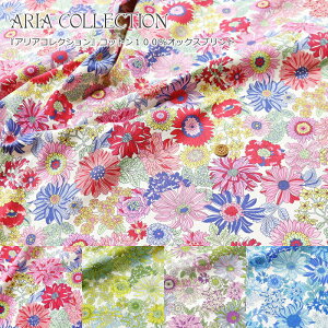 wARIA COLLECTIONAARNVxRbg100IbNXvgfށFRbg100@nF110cmԕ/t[/̎q/LbY/l//w//EFA[//nhCh/
