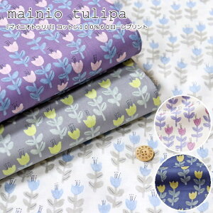 wmainio tulipa}CjIgDpxRbg10060[vgfށFRbg100@nF108cmԕ/`[bv/k/̎q/LbY/xr[/l//nhCh/Â/EFA