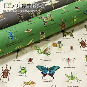 昆虫 生地の人気商品 通販 価格比較 価格 Com 昆虫 生地の人気商品 通販 価格比較 価格 Com