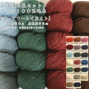 y5ʃZbg̔IzwE[100юsAE[5ʃZbgi1ʖ30g 58mjx