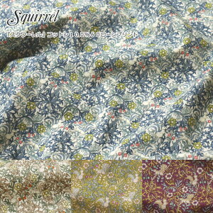 wSquirrelXN[xRbg10060[vgfށFRbg100@nF108cmX/̎q/LbY/xr[/l//nhCh/Â/EFA[//