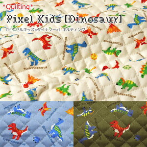 y1܂Ń[։\2ȏ͑zցzyLeBOzPixel Kids [Dinosaur]wsNZLbY_Ci\[xnF106cm/j̎q/LbY/IbNX///w//o