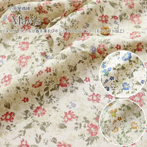 @ہwMavisჁCBXx60Ԏ蔖胊l100vgiA\tgHjfށFl100@nF104cmԕ/̎q/LbY/l//EFA[//nhCh/Â/