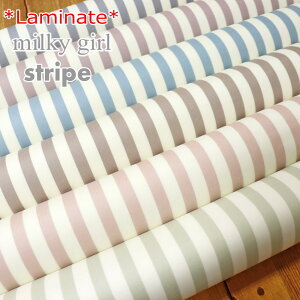 yۊiɂĂmFzy~l[gzw~L[K[XgCvxirj[R[eBOjnF108cm̎q/݃J[/nhC