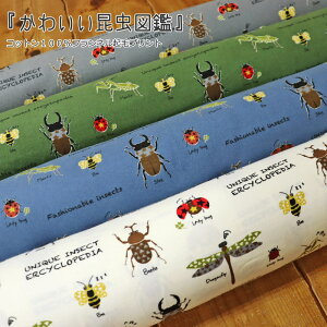 w킢}ӁxRbg100tlNуvgfށFRbg100@nF108cmH~/Jug/NK^/j̎q/LbY/l//EFA[//CeA/nhCh/