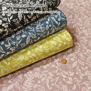 wBotanical Lake{^jJCNxRbglV[`OvgfށFRbg85l15@nF108cmԕ/t[/̎q/LbY/l/Ȗ//w/nhCh/