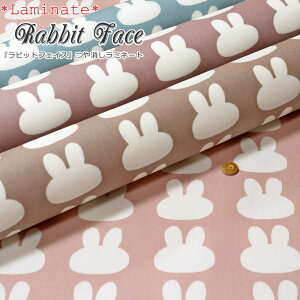 yۊiɂĂmFzy~l[gzwRabbit Face჉rbgtFCXxirj[R[eBOjnF108cm/̎q/݃J[/n