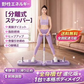 ピラティスボード 多機能腹筋マシン｜静音?滑り止め設計｜分解式アブトレーナー｜コアトレーニングに最適な家庭用ピラティスリフォーマー｜女性向けポータブルホームジム器具