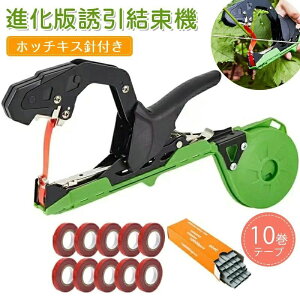 yi zb`LXjt e[v10tzU@ e[vc[ |p U @ e[vc[ e[vi[ ʎ zb`LX U Ў Ŕ y ȒP _ ƒ؉ ʎp