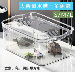 T  vX`bN AN  e ANAE Wt 琅 _J _J k͔| A͔| _Je ^    h ԕr _J e {