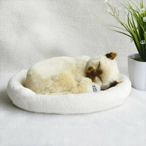 yċzĖ郊AȔL̂ʂ݁z ˂ D A {  ybg v[g Mtg q a@傫  OєL ʂ A L lR ybg