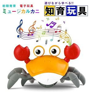 [yVoI[dzq nCnC Jj  y  V~[VJj C^NeBu  mߋ c J 葫̌P qǂ a NX