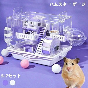 yVXN[|500~OFFEO100znX^[P[W 傫 nX^[nEX 7Zbg 2K |Cg  P[W 炩 L ʋCQ gȒP  ^ 񂵎 GTM {