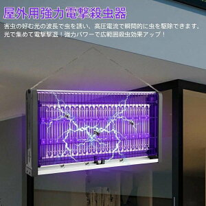 dE ߒ  E RoG RoG dCE@ 8W ECg Ƃ Ɩp ^ UVz ܕsv Ԃ Dw ybg ȃGl  @  ze 