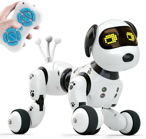 {bg lC̃{bg dqybg {bg  WR{bg ybg{bg ƒp{bg q l a NX}X VN j v[g 蕨 robot 