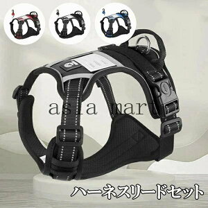 n[lX[hZbg 3color  n[lX  \tg pn[lX Ck hbO ^ Ȃ h~ Up o ȒP  JbRCC ₢ K ybgObY