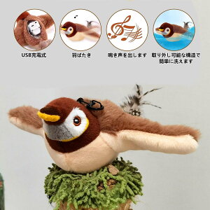 _10%OFFN[|^L   Lp ʂ݊ߋ sso[h L L炵 d ^b`N ʂ H΂ o lV ܂ѓ  Lߋ y