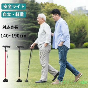 �� �X�e�b�L �L�k�� LED���C�g�t�� �j���p �����p �� �L�k ����~�� �R���p�N�g �y�� �������߉\ ������� ����� 10�i�K����