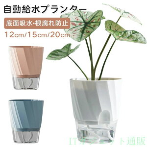 �������� �A�ؔ� ��ʋz�� �v�����^�[ ���k�͔| �ϗt�A�� �����A�� �n�[�u �T�{�e�� ���� ���O �C���e���A ������� �ƒ뉀�| ���S�� �͂炳�Ȃ� �����ȒP ������h�~ �x�����_ �K�[�f�j��