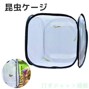 �������甠 �����P�[�X �� �����P�[�W �ʋC�� �l�b�g �ɐB ���� ����P�[�X ��^ �c�� ������ ���b�V�� �y�� �܂肽���� �A���P�[�W �W�{�� �܂��ݒ����� ঒��� ���� �o�^�t���C�P�[�W �� 