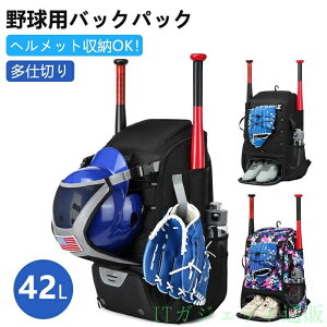 42L �싅�p�o�b�N�p�b�N �싅�p �����b�N �V���[�Y���[ �싅�o�b�O �w�����b�g���[ �o�b�g2�{���[�� �\�t�g�{�[���p��o�b�O �t�F���X�t�b�N�t�� ��e�� �������H �X�|�[�c ���� �ʊw ���� 