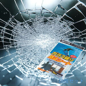 y[zhƃtB KXjh~V[g KXp tJ^ F 40×25cm 10Zbg D_΍ sRґ΍ 󂫑΍ \΍ Nh~ KXh~ KXU