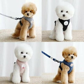 ハーネス マルチーズ 小型犬 おさんぽ おでかけ お出掛け おしゃれ オシャレ かわいい キャラクター 韓国　マルチーズ　ビションフリーゼ　おしゃれ