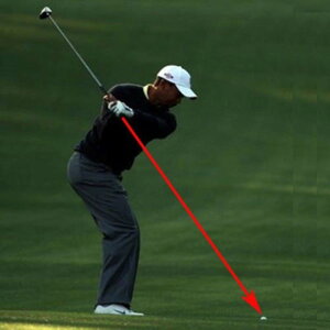 StXCORN^[ [U[ g[i[ StXCO ʃg[jO St|C^[[U[ X|bg