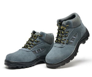 Bݔh~ {v [N V[Y |Sc ƌC  TCY 25.5cm㎿