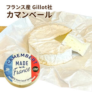 �J�}���x�[�� �`�[�Y Past Gillot �t�����X�Y 250g ���܂� �O�� ���̍� �t�H���f�� �A�q�[�W�� �����񂹃O���� ������ �p�[�e�B �ӎ� �ƈ��� ����� �����ĂȂ� ���� ���C��