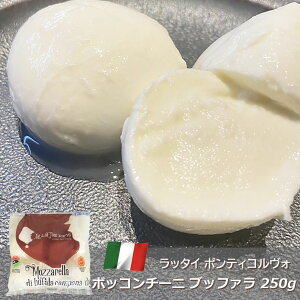 b^C|eBRH {bR`[j ubt@ 250g C^AY  bc@ tBI[fBbe tbV`[Y ܂ 񂹃O  p[eB ӎ 