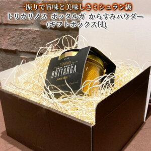 gJmX 炷 pE_[ OCE~E{b^K pE_[ 40g  Mtg{bNX t MVY JX~   V[t[h  pX^ j  蕨 v[g a