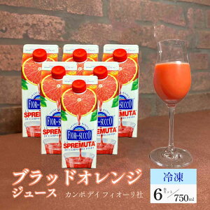 yⓀzJ|EfBEtBI[ ubhIWW[X Xv[^EfEA`bT 750ml×6{ C^A V`AY