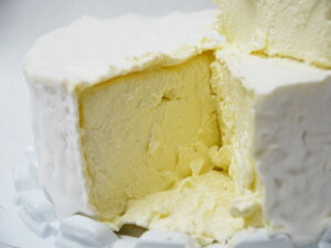 Jr`[Y uA T@ AtBl tXY 500g ܂  O p[eB ӎ ƈ  ĂȂ  C